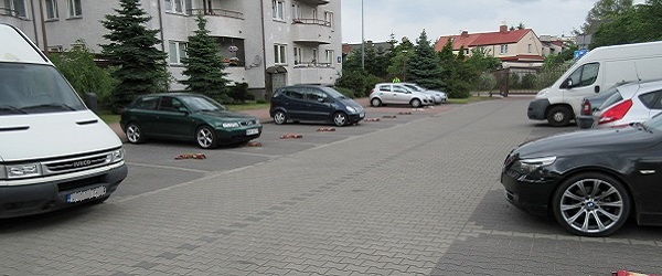 Read more about the article Parkowanie pojazdów na terenie wspólnoty