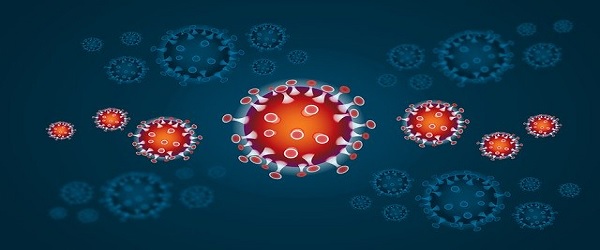 Read more about the article Co musisz wiedzieć na temat koronawirusa